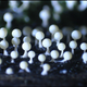 Illustration for article titled The Bizarre Collective Consciousness of Slime Mold